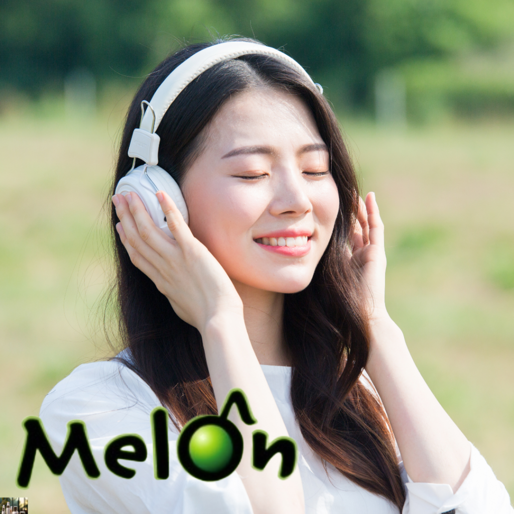 Melonの使い方